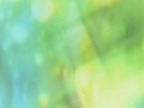 Bubbles 02227