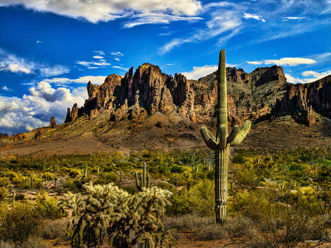 Arizona 2