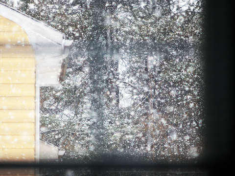 Snow day