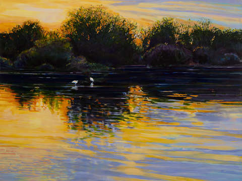 Gilbert riparian
