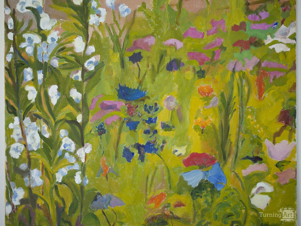 Field of flowers