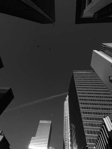 Lookin up
