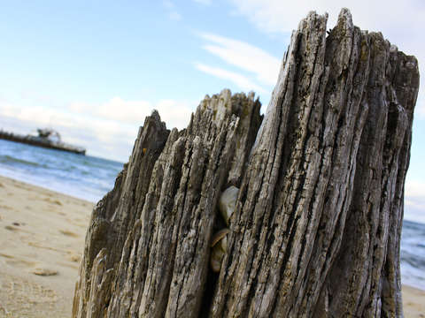 Bluffing pier