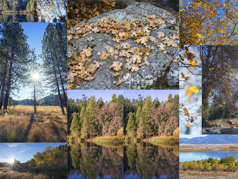 Autumn morning
