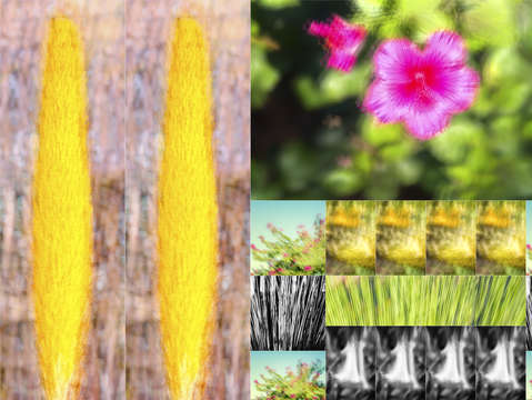 Flowers and plants impressionistic