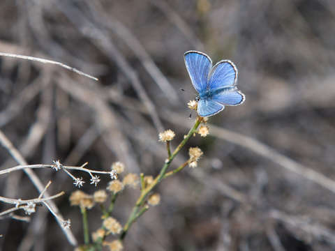 Spring on my mind