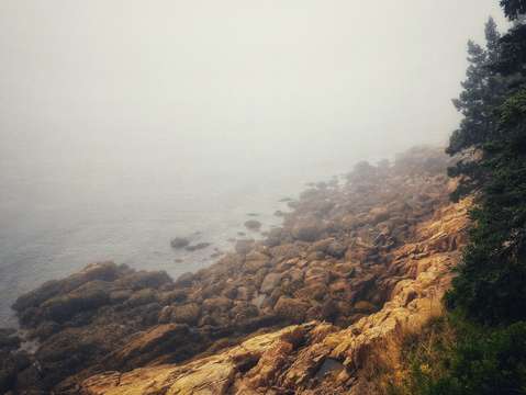 Acadia shore