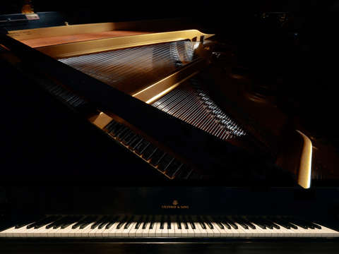 Heart of the piano