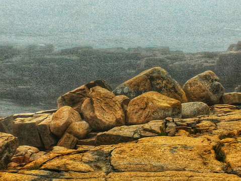 Acadia rocks