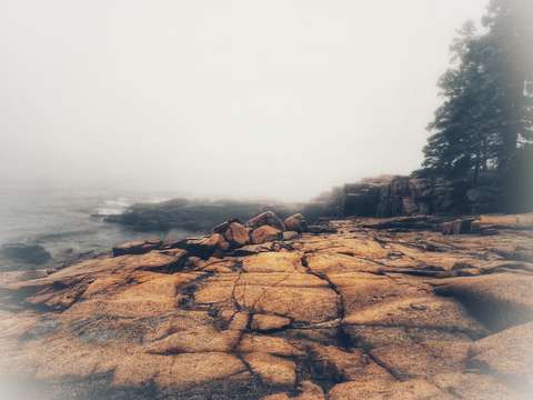 Foggy shore