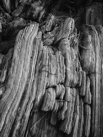 Granite shore