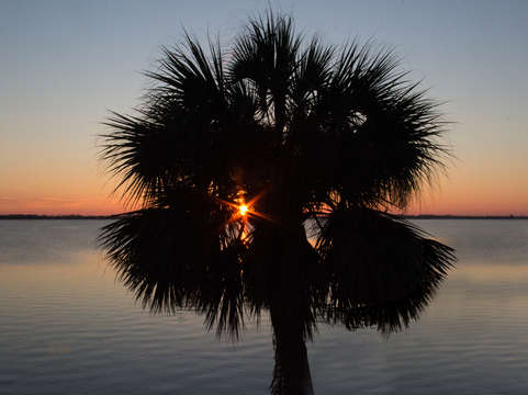 Indian river lagoon