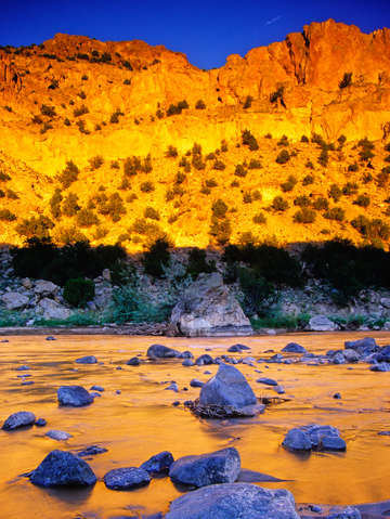 River reflections 2
