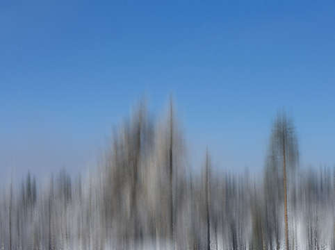 Winter abstrect