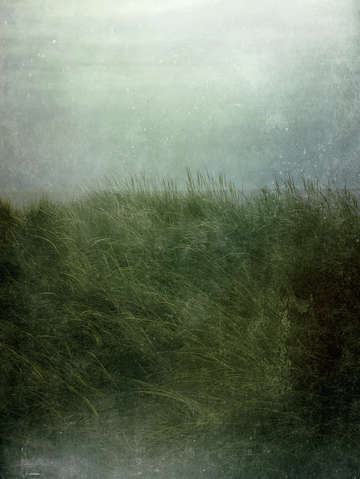 Twilight beach