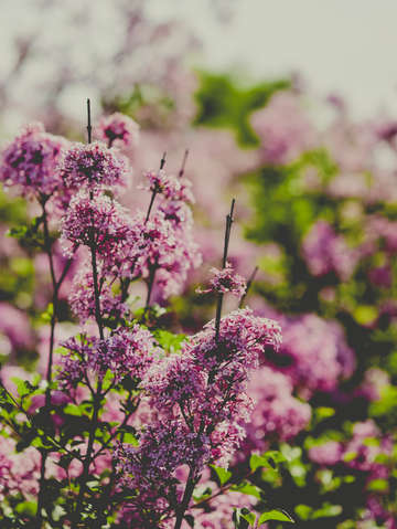 Fading love