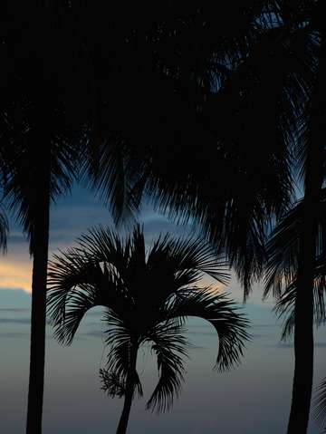 Blue sunset