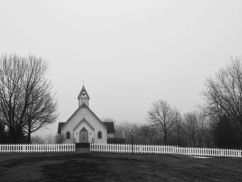 Church of the land