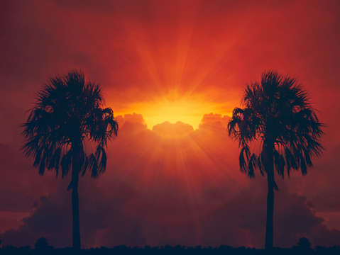 Awakening 8