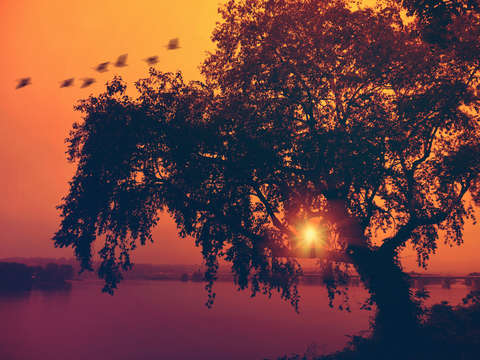 Sundown 7