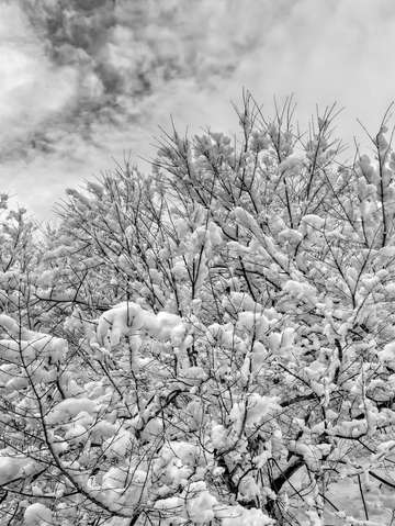 Snow and clouds