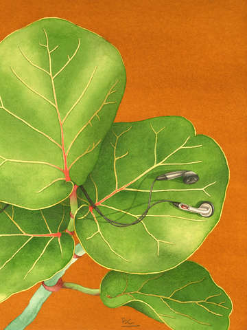Listeningplant