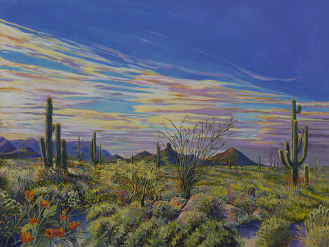 Pinnacle peak vista