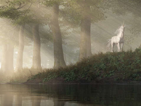 Unicorn sighting