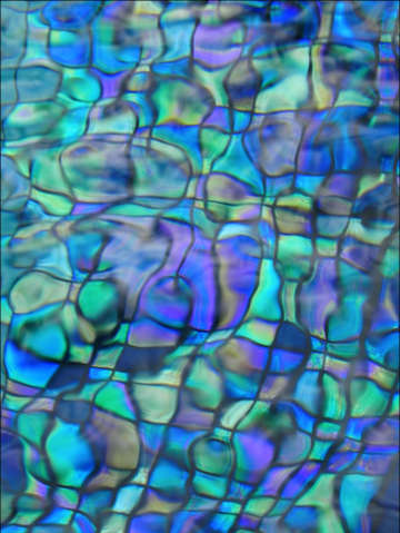 Pool party vii