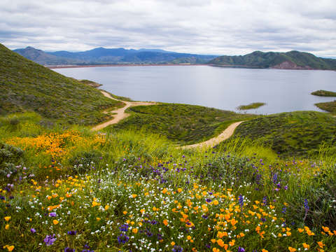 Diamond valley lake