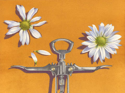 Juggling daisies