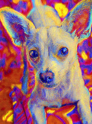 Impressionist chihuahua 1