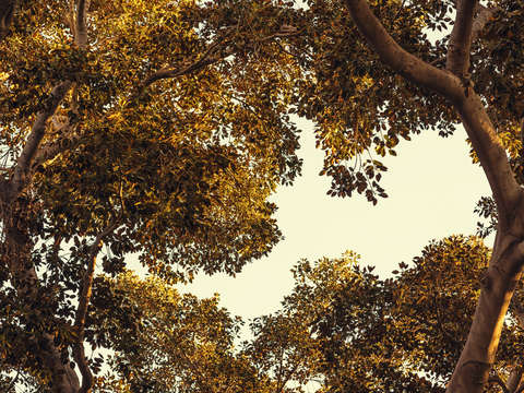 This is autumn