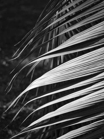 Reaching out 2