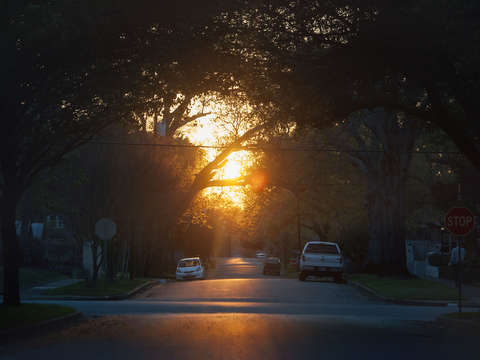 Neighbor sunset