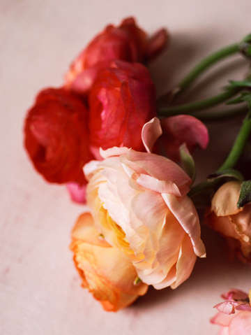 She loved flowers 3