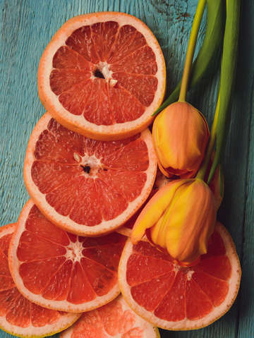 Citrus 4