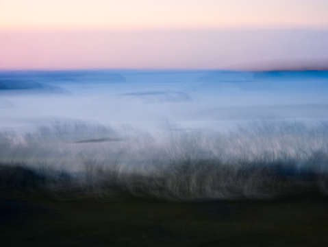 Along the sea