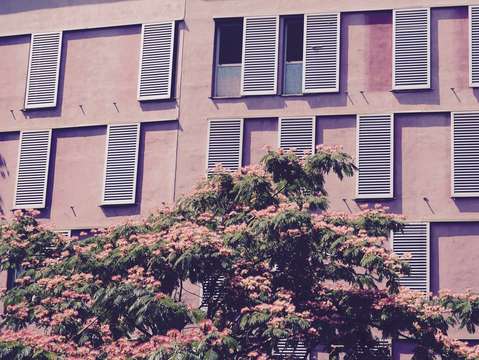 Pink building