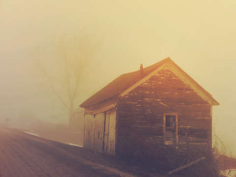 Yellow fog barn