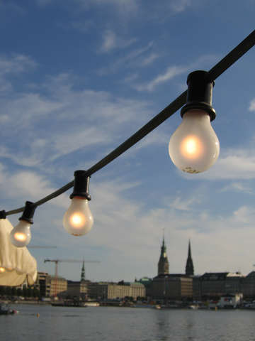 The bulbs