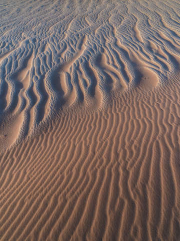 Sand