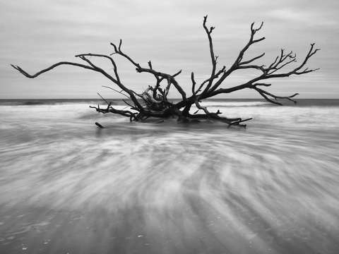 Botany bay
