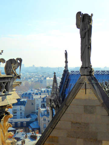 Gargoyles of notre dame