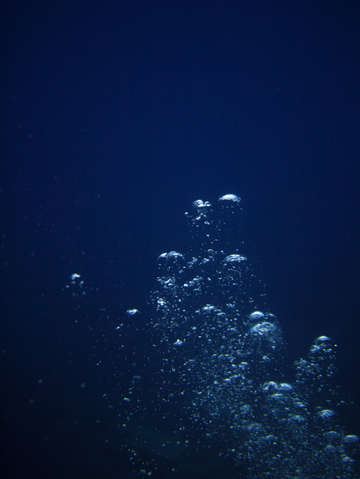 Emergence 5