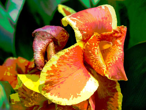 Iris gold white faux oil