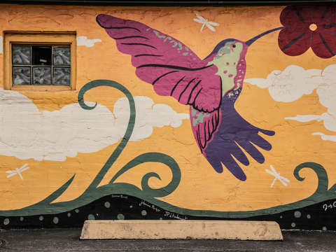 Hummingbird mural