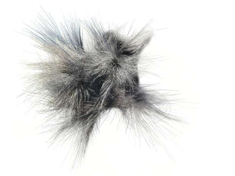 Strands 1