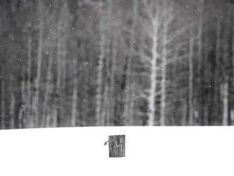 Aspen ideals 6