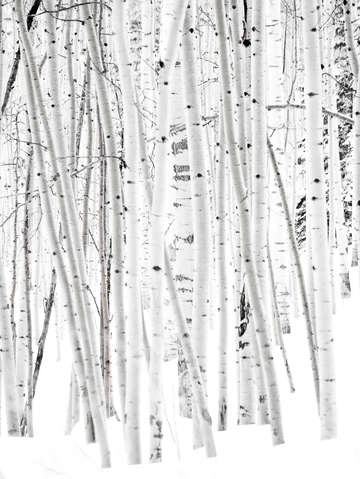 Aspen ideals 7